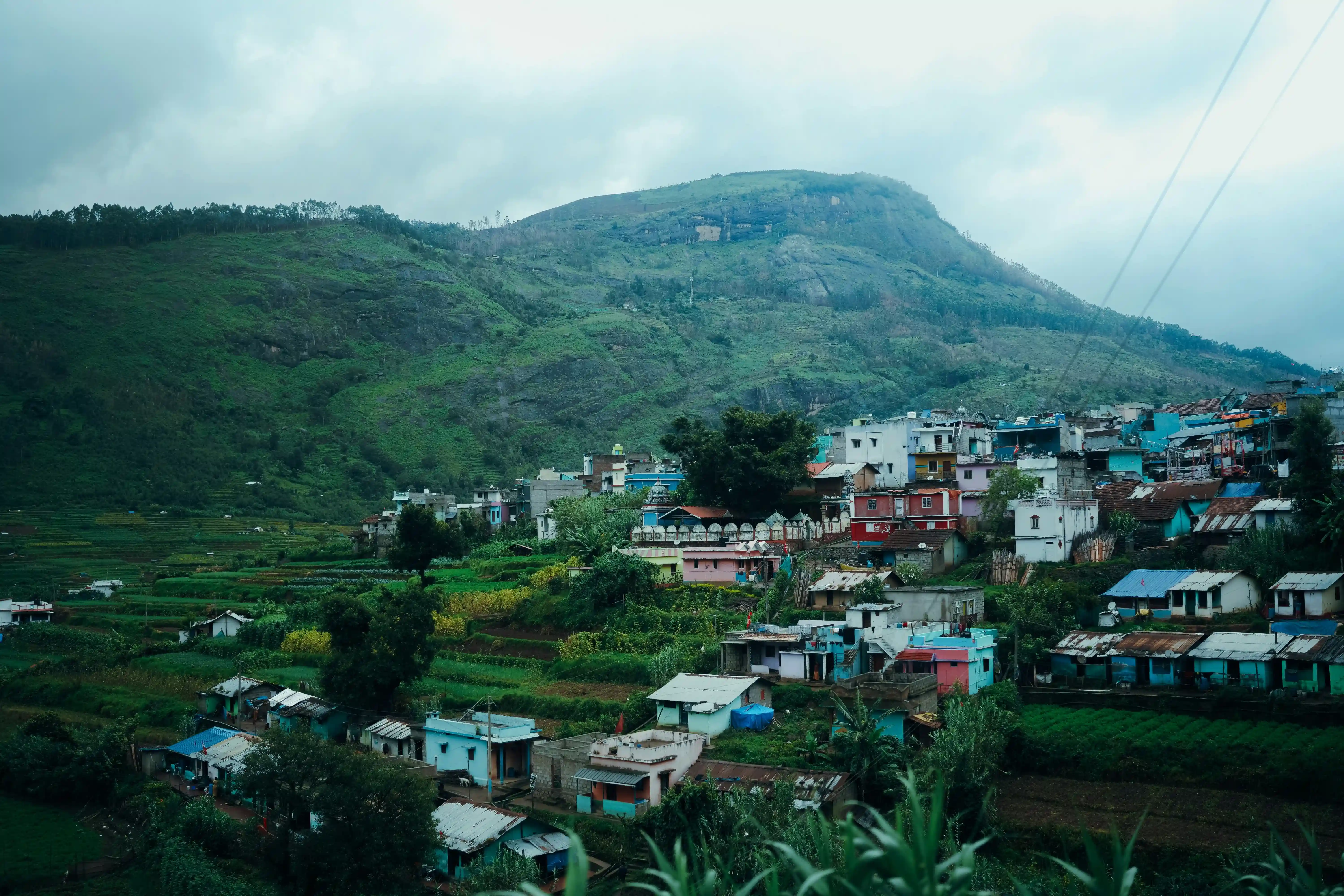 Munnar Tea Plantations
